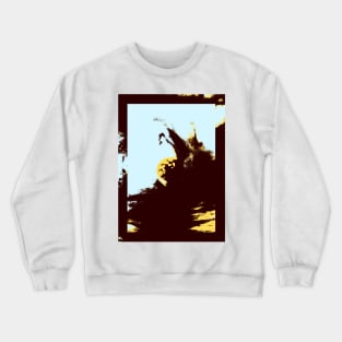 Eye Of The Sky. Crewneck Sweatshirt